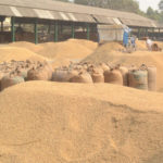 ਧਰਮਸੋਤ ਵੱਲੋਂ ਜੰਗਲਾਤ ਕਾਮਿਆਂ ਦੀਆਂ ਜਾਇਜ਼ ਮੰਗਾਂ ਜਲਦ ਮੰਨਣ ਦਾ ਭਰੋਸਾ