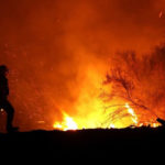 ਪਤਨੀ ਤੇ ਕੋਰੀਅਰ ਬਗ਼ਦਾਦੀ ਤੱਕ ਪਹੁੰਚਣ ਦਾ ਰਾਹ ਬਣੇ