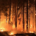 ਵਿਦੇਸ਼ ਜਾਣ ਸਬੰਧੀ ਪਟੀਸ਼ਨ ਬਖਸ਼ੀ ਨੇ ਵਾਪਸ ਲਈ