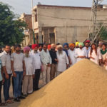 ਜਡੇਜਾ ਨੇ ਟੈਸਟ ਚ ਪੂਰੀਆਂ ਕੀਤੀ 200 ਵਿਕਟਾਂ