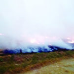 550 ਸਾਲਾ ਪ੍ਰਕਾਸ਼ ਪੁਰਬ ਮੌਕੇ ਸੁਲਤਾਨਪੁਰ ਲੋਧੀ ਦੇ ਦਰਸ਼ਨਾਂ ਲਈ ਪੰਜਾਬ ਸਰਕਾਰ ਵੱਲੋਂ ਸ਼ਰਧਾਲੂਆਂ ਲਈ ਮੁਫਤ ਬੱਸ ਸੇਵਾ