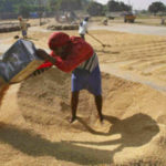 ਗੁਰੂਘਰ ਨਤਮਸਤਕ ਹੋਣ ਲਈ ਜ਼ੀਰਾ ਤੋਂ ਪੈਦਲ ਚੱਲਕੇ ਸੁਲਤਾਨਪੁਰ ਪੁੱਜੀ 5 ਹਜ਼ਾਰ ਸੰਗਤ