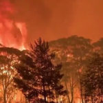 ਅਫਗਾਨਿਸਤਾਨ ਤੋਂ 4 ਹਜ਼ਾਰ ਫੌਜੀਆਂ ਨੂੰ ਵਾਪਸ ਬੁਲਾਏਗਾ ਅਮਰੀਕਾ