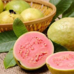 ਡਾਕਟਰਾਂ ਵੱਲੋਂ ਸੋਨੀਆ ਗਾਂਧੀ ਨੂੰ ਕੁਝ ਸਮੇਂ ਲਈ ਦਿੱਲੀ ਤੋਂ ਬਾਹਰ ਰਹਿਣ ਦੀ ਸਲਾਹ