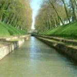 ਕੈਬਨਿਟ ਮੰਤਰੀ ਤਿ੍ਰਪਤ ਬਾਜਵਾ ਵਲੋਂ ਵਿਸ਼ਵ ਮੱਛੀ ਪਾਲਣ ਦਿਵਸ ਮੌਕੇ ਮੱਛੀ ਪਾਲਕਾਂ ਨੂੰ ਵਧਾਈ