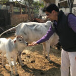 ਮੁੱਖ ਮੰਤਰੀ ਨੇ ਦਿੱਲੀ ਸਰਕਾਰ ਵੱਲੋਂ ਕਾਲੇ ਖੇਤੀ ਕਾਨੂੰਨਾਂ ਨੂੰ ਲਾਗੂ ਕਰਨ ਵਾਲੇ ਨੋਟੀਫਿਕੇਸ਼ਨ ‘ਤੇ ਹੈਰਾਨੀ ਜ਼ਾਹਰ ਕੀਤੀ